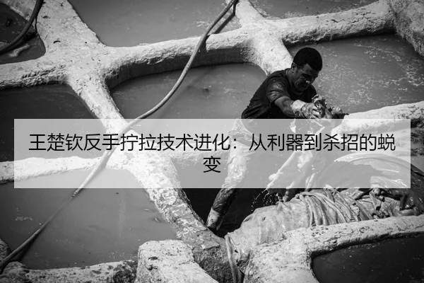 王楚钦反手拧拉技术进化：从利器到杀招的蜕变