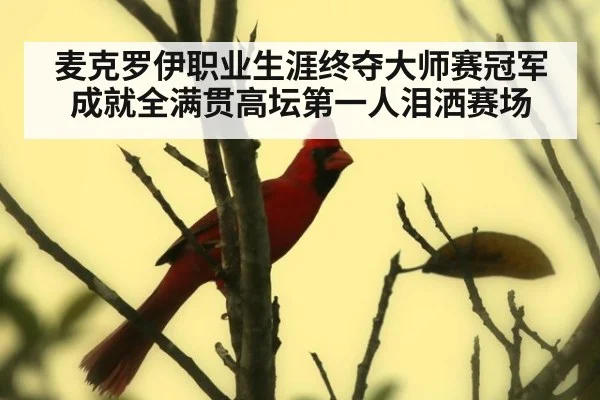 麦克罗伊职业生涯终夺大师赛冠军成就全满贯高坛第一人泪洒赛场