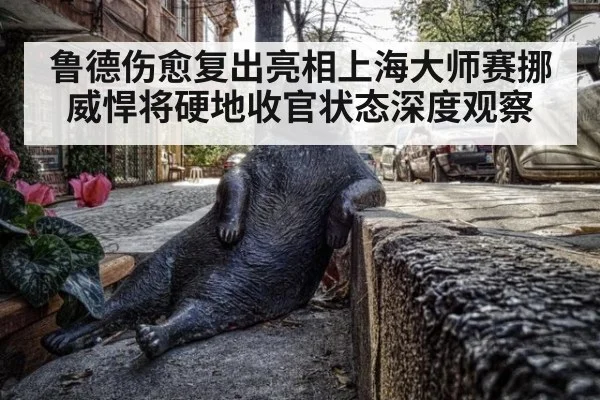 鲁德伤愈复出亮相上海大师赛挪威悍将硬地收官状态深度观察